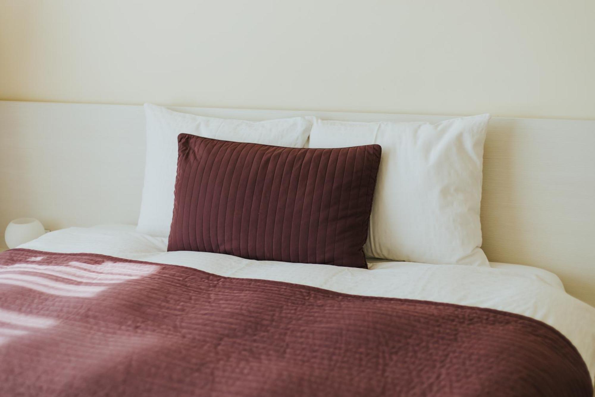 Camelia'S Cozy Place Бая-Маре Экстерьер фото