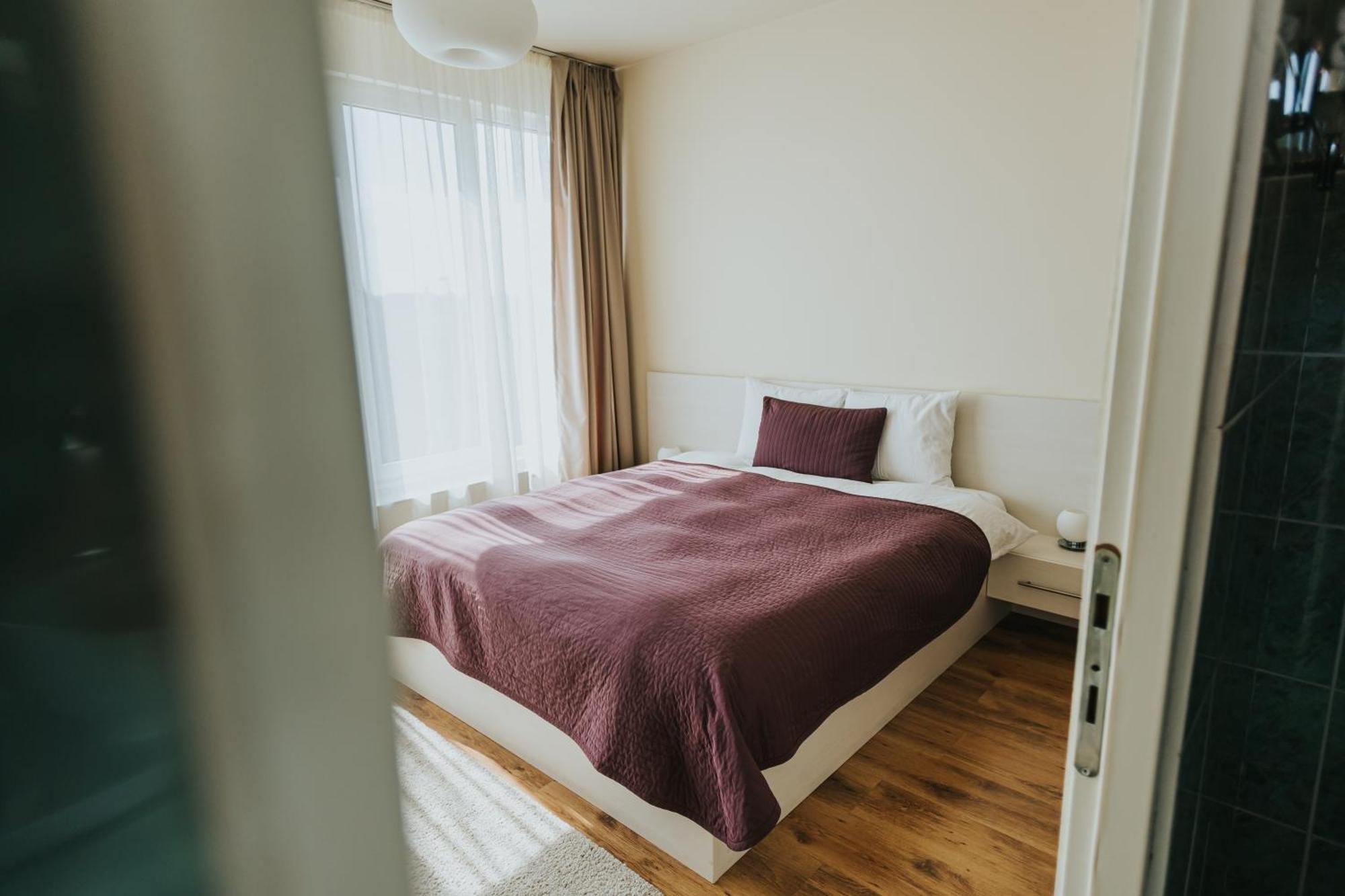 Camelia'S Cozy Place Бая-Маре Экстерьер фото