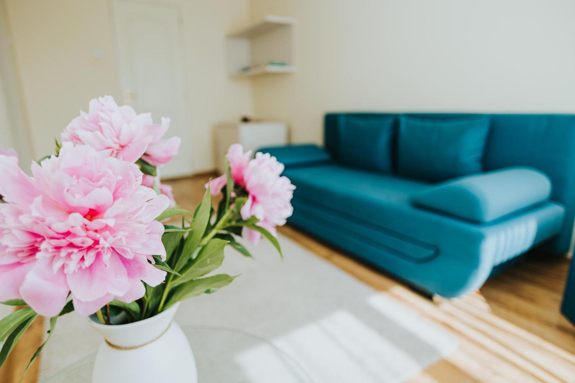 Camelia'S Cozy Place Бая-Маре Экстерьер фото
