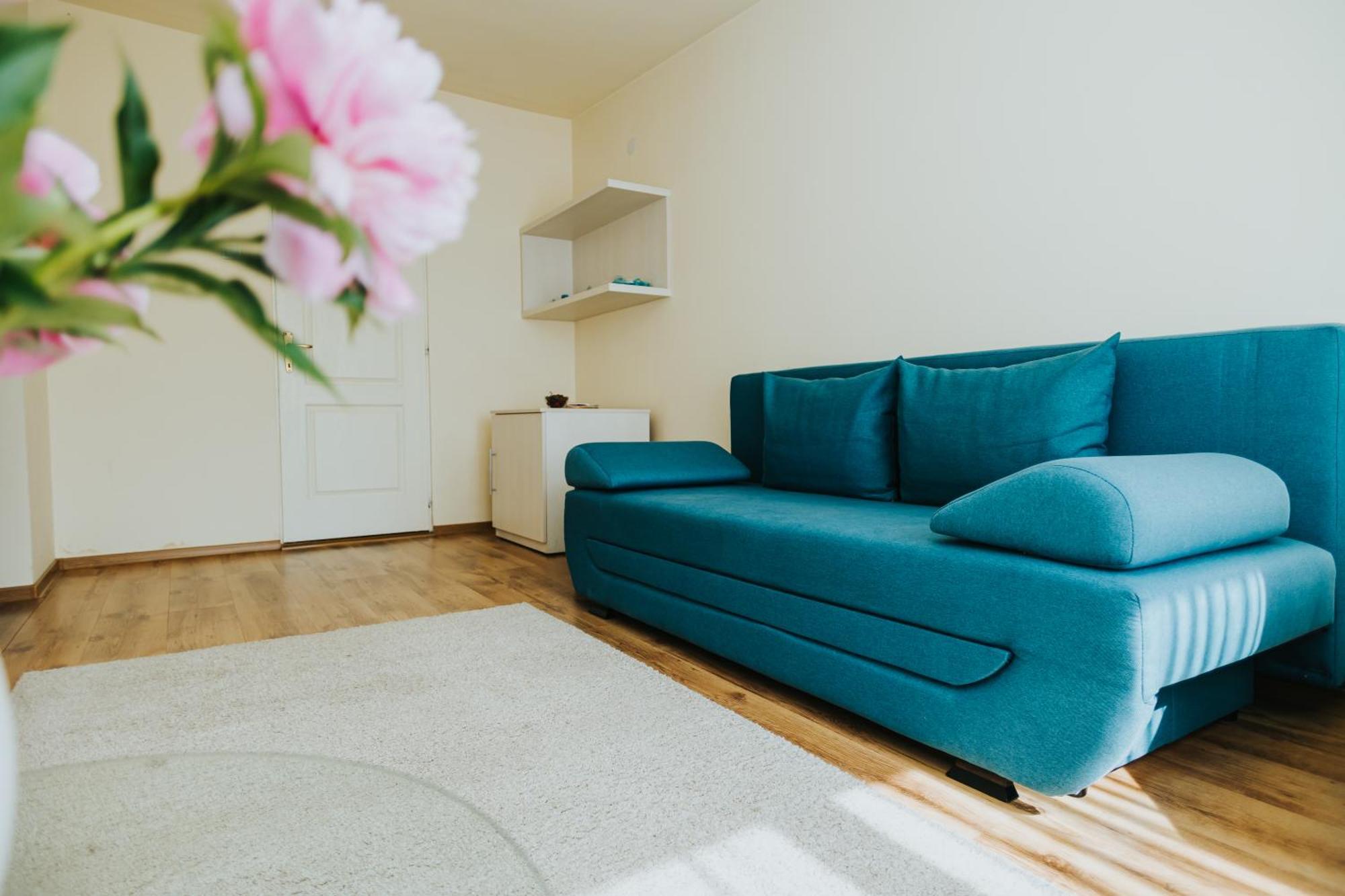 Camelia'S Cozy Place Бая-Маре Экстерьер фото